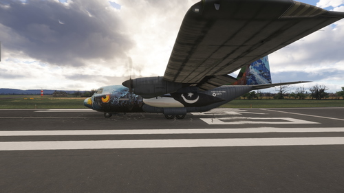 [Dirty 30 C-130J Short] Pakistan Air Force (PAF) Livery