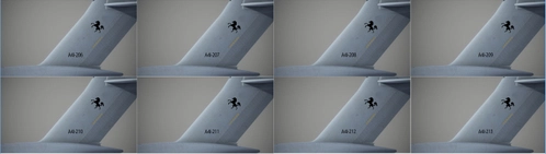 C-17 [Destroyer] RAAF 8 Pack of Line Birds