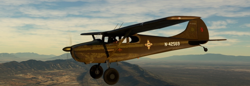 C170B bushwheel N-42569 brown Talayesva 