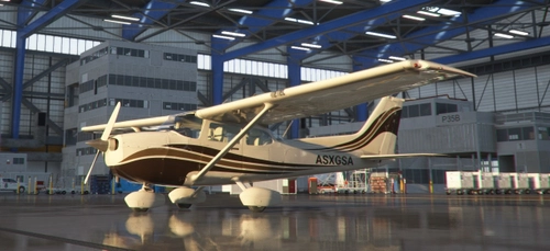 C172 DEW Brn Beige