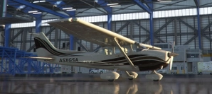 C172 DEW Brn Beige thumbnail 2