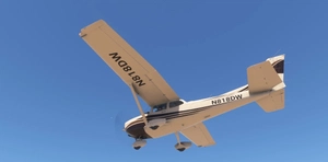 C172 DEW Brn Beige thumbnail 10