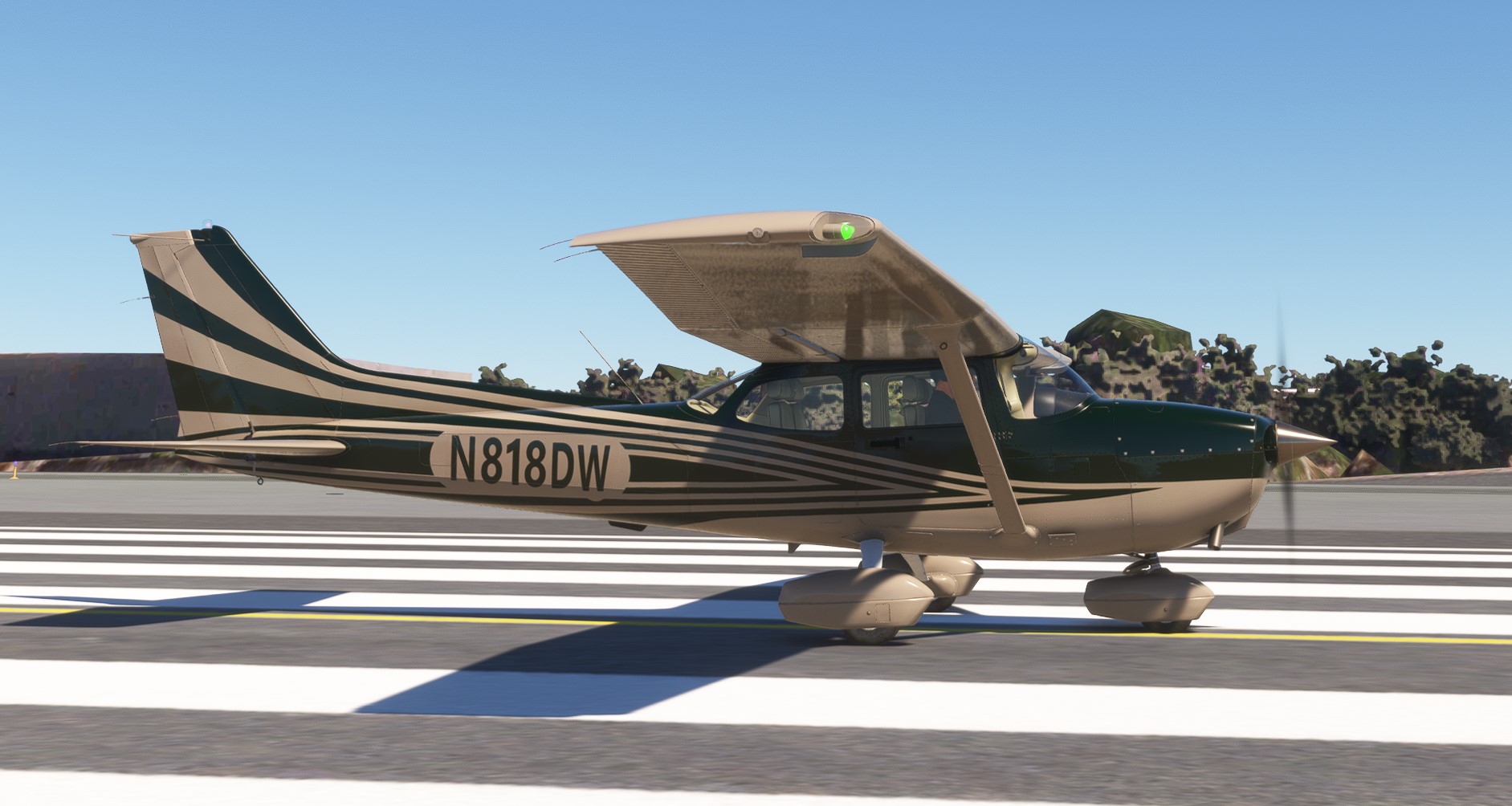 C172 G1000 DEW Stripe Green - Image 1