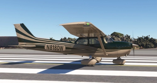 C172 G1000 DEW Stripe Green