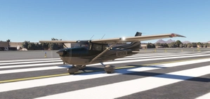 C172 G1000 DEW Stripe Green thumbnail 3
