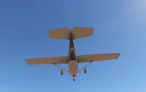 C172 G1000 DEW Stripe Green thumbnail 11