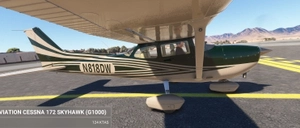 C172 G1000 DEW Stripe Green thumbnail 13