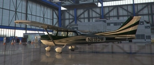 C172 G1000 DEW Stripe Green thumbnail 14
