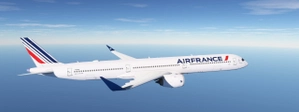 CamSim A350-1000 Pack 1 thumbnail 2