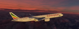 CamSim A350-1000 Pack 1 thumbnail 8