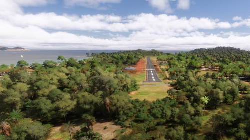 Caribbean Airport Approach Vegetation Fix