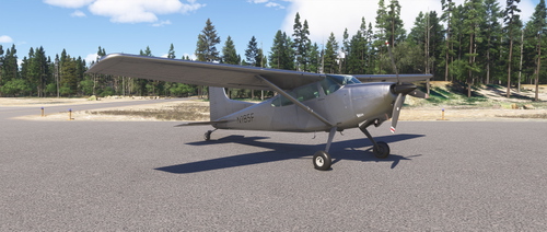 Cesna C185F Skywagon - Bare Metal