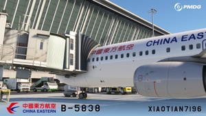 PMDG NG3 737-89P China Eastern STD Livery B-5838 thumbnail 2