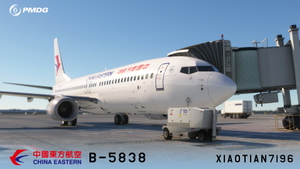 PMDG NG3 737-89P China Eastern STD Livery B-5838 thumbnail 3