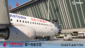 PMDG NG3 737-89P China Eastern STD Livery B-5838 thumbnail 4