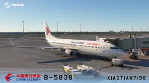 PMDG NG3 737-89P China Eastern STD Livery B-5838 thumbnail 1