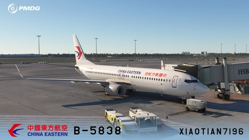 PMDG NG3 737-89P China Eastern STD Livery B-5838