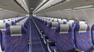 China Southern [Package] w/Cabin Fenixsim A320 [8K+4K] thumbnail 9