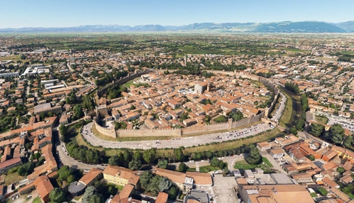 Cittadella no tree