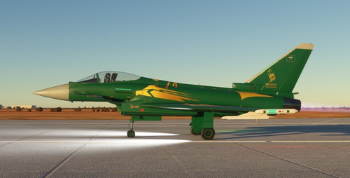 CJ Simulations RSAF Typhoon 2024