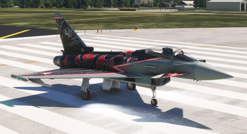 CJ Simulations Typhoon / 2024 Austrian Tigers