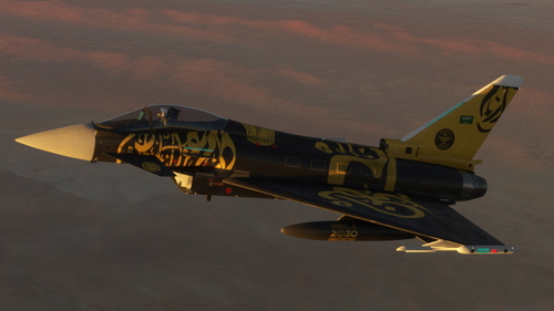 CJ Simulations Typhoon RSAF National Day 2024