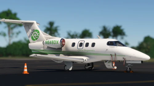 Cockspur Phenom 100 Quest Diagnostics (N288DX)