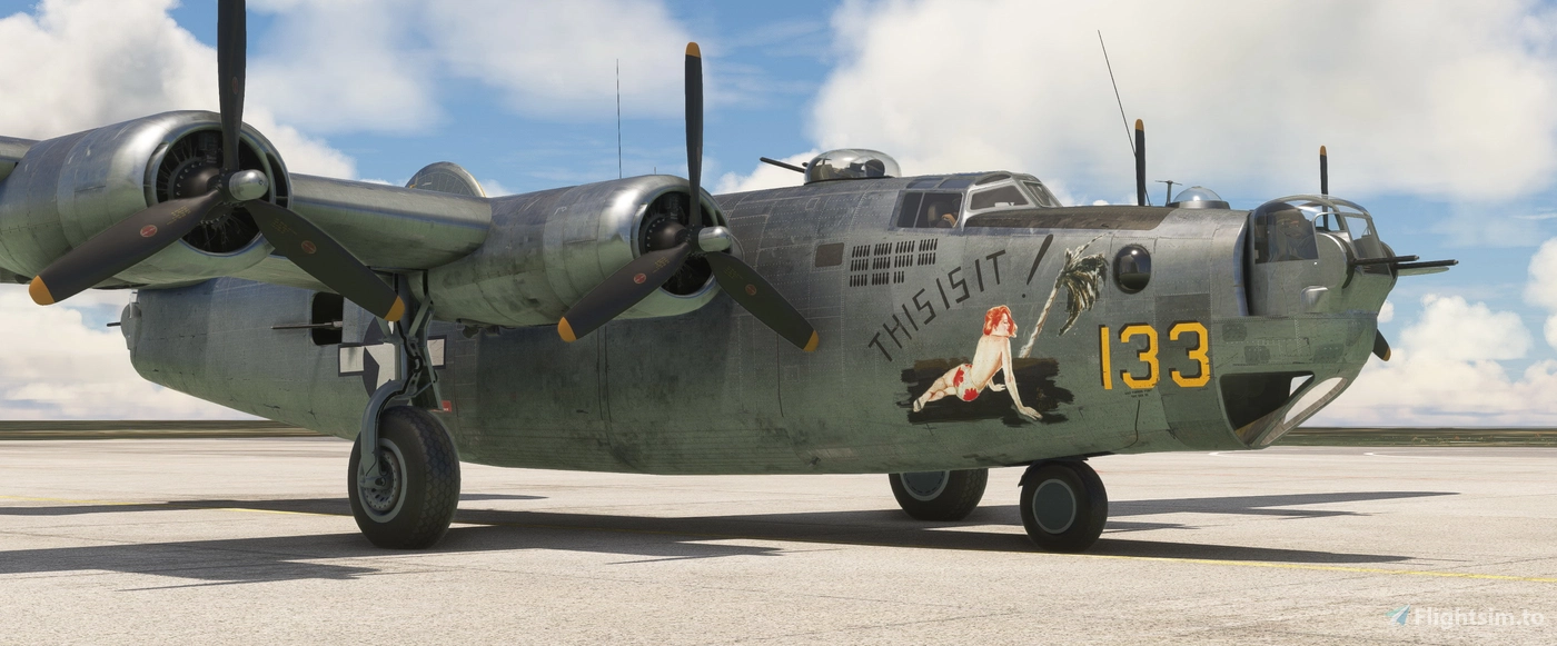 consolidated-b-24-liberator-307th-bg-this-it-it-and-mary-louise-10848-1757158831-2GjOt.jpg?width=1400