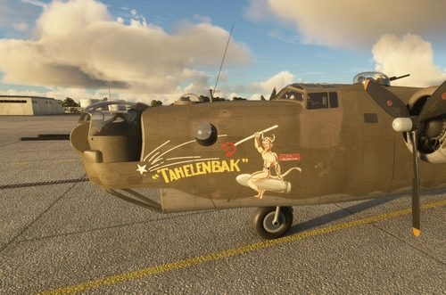 Consolidated B-24 Liberator 445th BG "Tahelenbak"