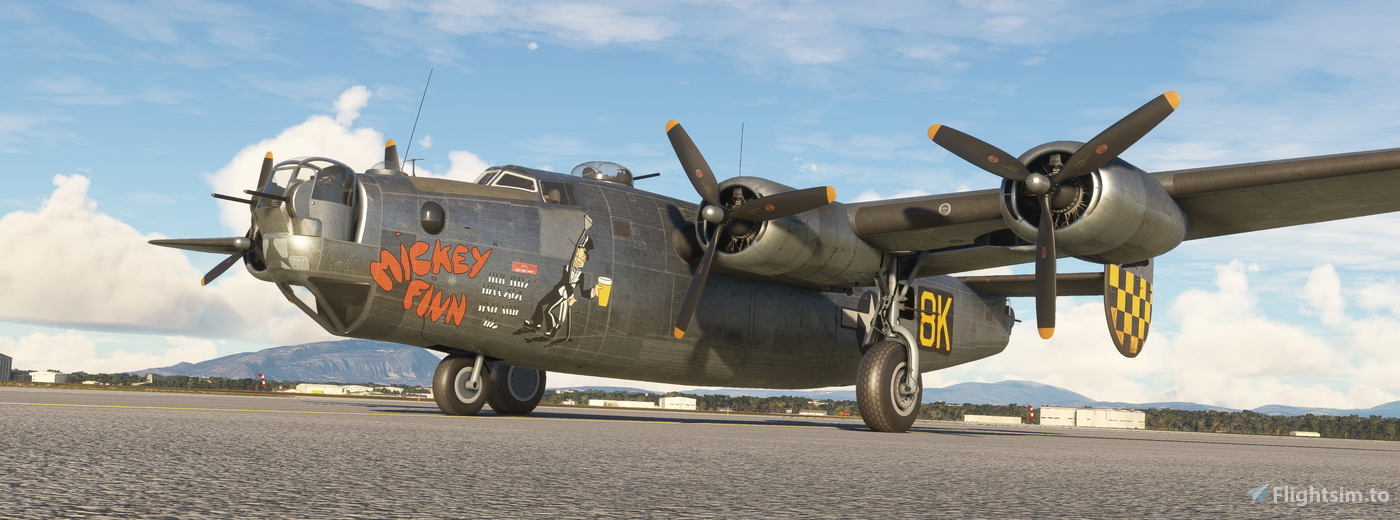 consolidated-b-24-liberator-459th-bg-mickey-finn-10848-1757140590-E5ras.jpg?width=1400