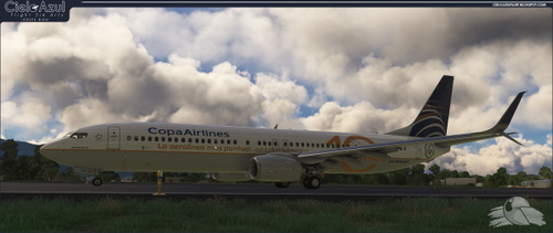Copa Airlines | HP-9923CMP | PMDG Boeing 737-900ER [8K]