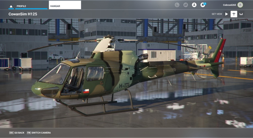 CowanSim H-125 Ejército de Chile H-171