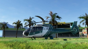 CowanSim H130 - PS-MPS thumbnail 1