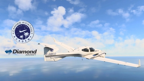 Cows | DA42-TDI | Cannes Aviation Academy F-HBCD