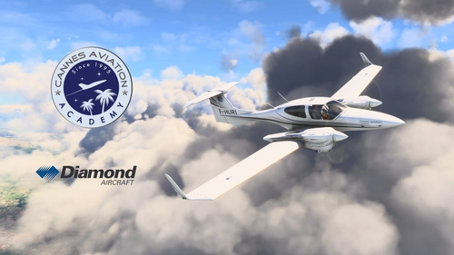 Cows | DA42-VI | Cannes Aviation Academy F-HURI