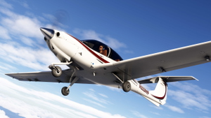 COWS DA40 XLS - N333WF (Dynamic Registration) thumbnail 6
