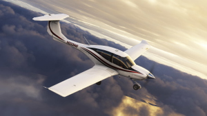 COWS DA40 XLS - N333WF (Dynamic Registration) thumbnail 9