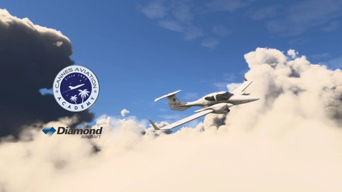 Cows | DA42-TDI | Cannes Aviation Academy F-HCAC
