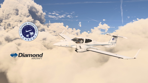 Cows | DA42-TDI | Cannes Aviation Academy F-HCAN