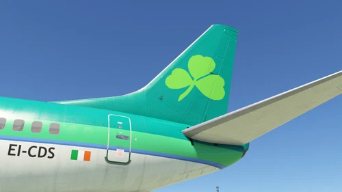 CSS Boeing 737-500 Aer Lingus  EI-CDS, EI-CDH  4K