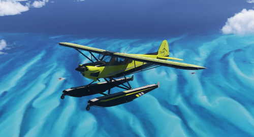 CubCrafters CC19 XCub | Multicolor Pack 1 | Amphibian