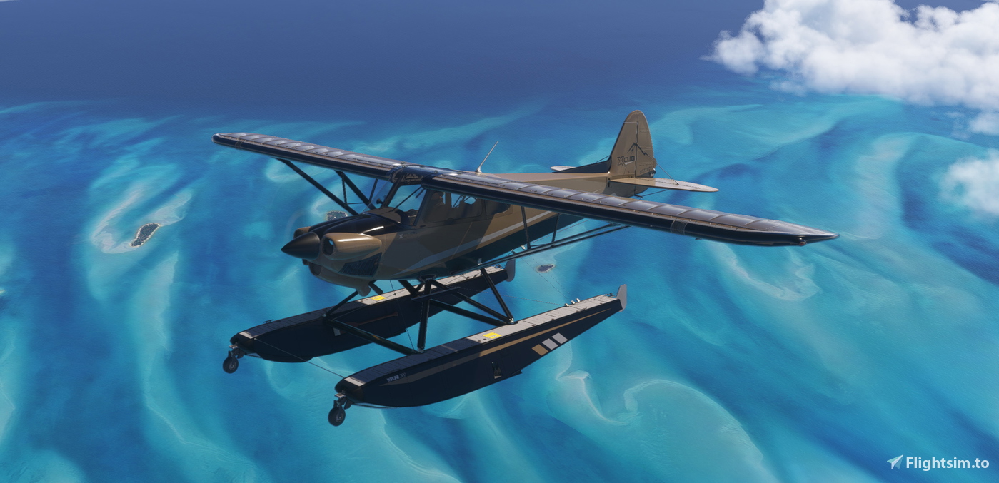 Cc19 CubCrafters CC19 XCub | Multicolor Pack 1 | Amphibian 对于 Microsoft ...