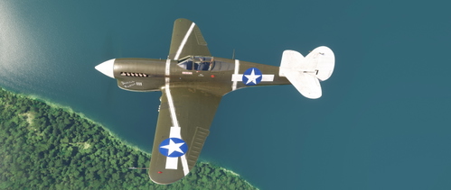 Curtiss P-40F 18th FG #111 'Destitute Prostitute'