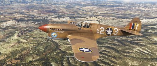 Curtiss P-40F 79th FG X23 "Desert Queen"