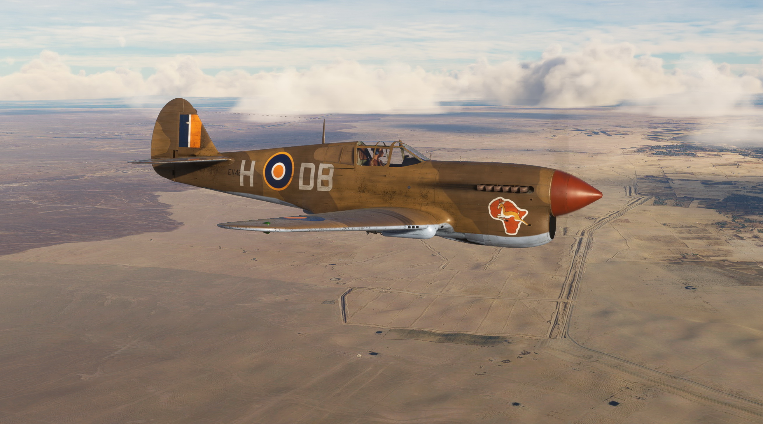 Curtiss P-40F SAAF 2sqn EV241 DB-H Major DB Hauptfleish - Image 1
