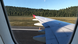 Custom Camera Views [FENIX A319 IAE & CFM | WTF + SL] thumbnail 3