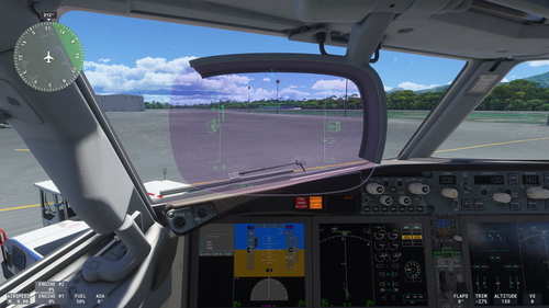 Custom Camera Views for Asobo 737 Max 8