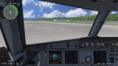 Custom Camera Views for iniBuilds A320neo (V2)