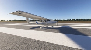 D-EOMN Asobo C172 - G1000 - Livery request thumbnail 3