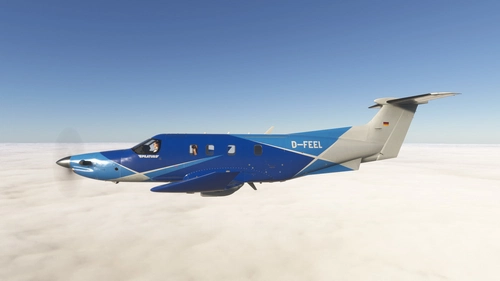 D-FEEL PC-12 NGX
